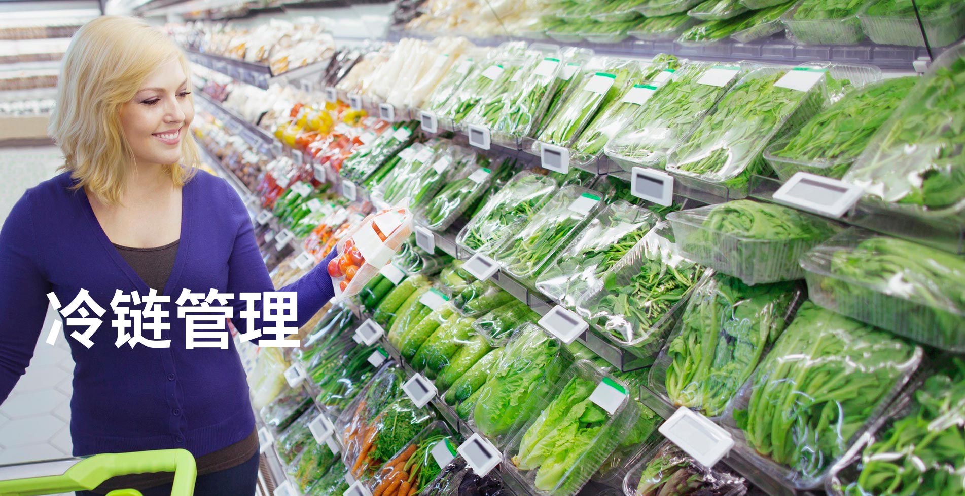 和易孚 冷链管理